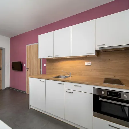 Apartmán Jansky Potok Ii-1 By Interhome Janské Lázně
